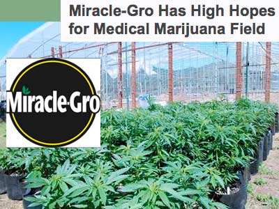 Scotts Miracle-Gro to focus on North American interests like MJ – Marijuana Business Daily