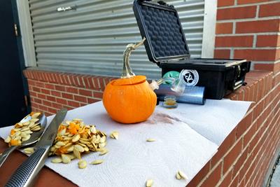 How to Make a Pumpkin Dab Rig in 3 Easy Steps 